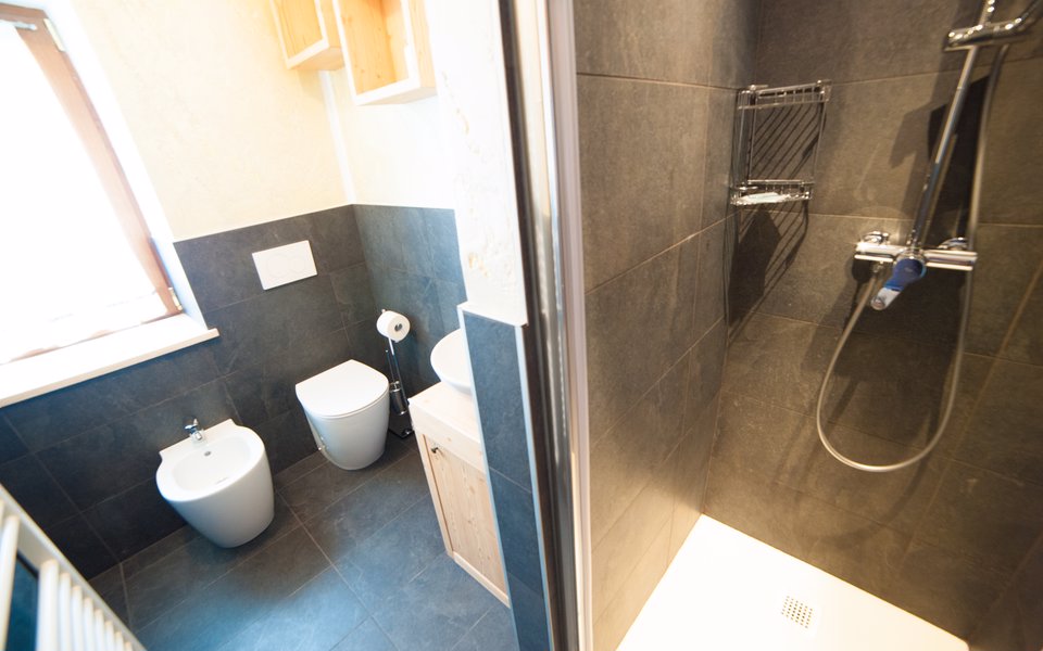 camera il re leone bagno w