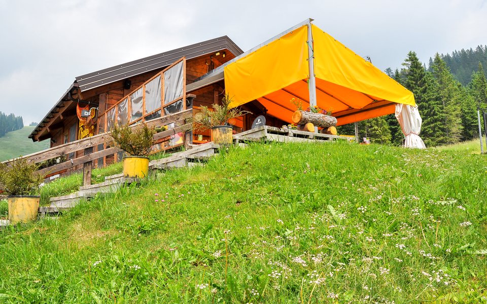 chalet grizzly estate 2 w