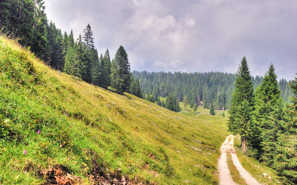 itinerario mtb w
