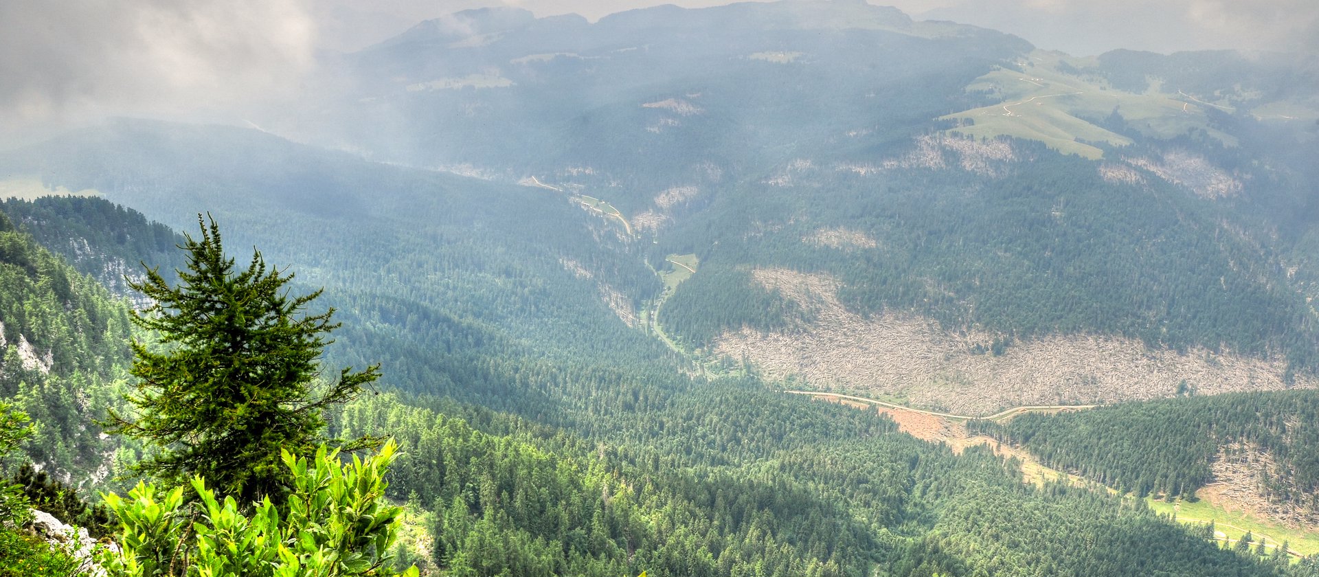 panorama dalla cima verena w