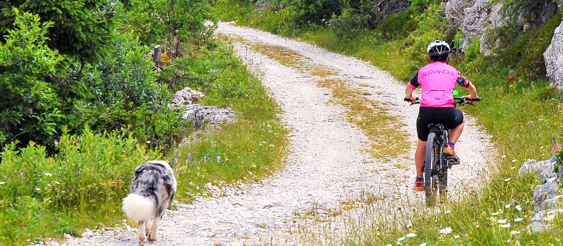 percorsi mtb w