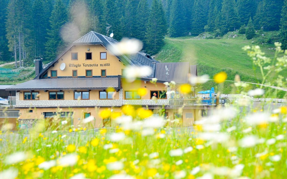 rifugio verenetta tanti fiori w