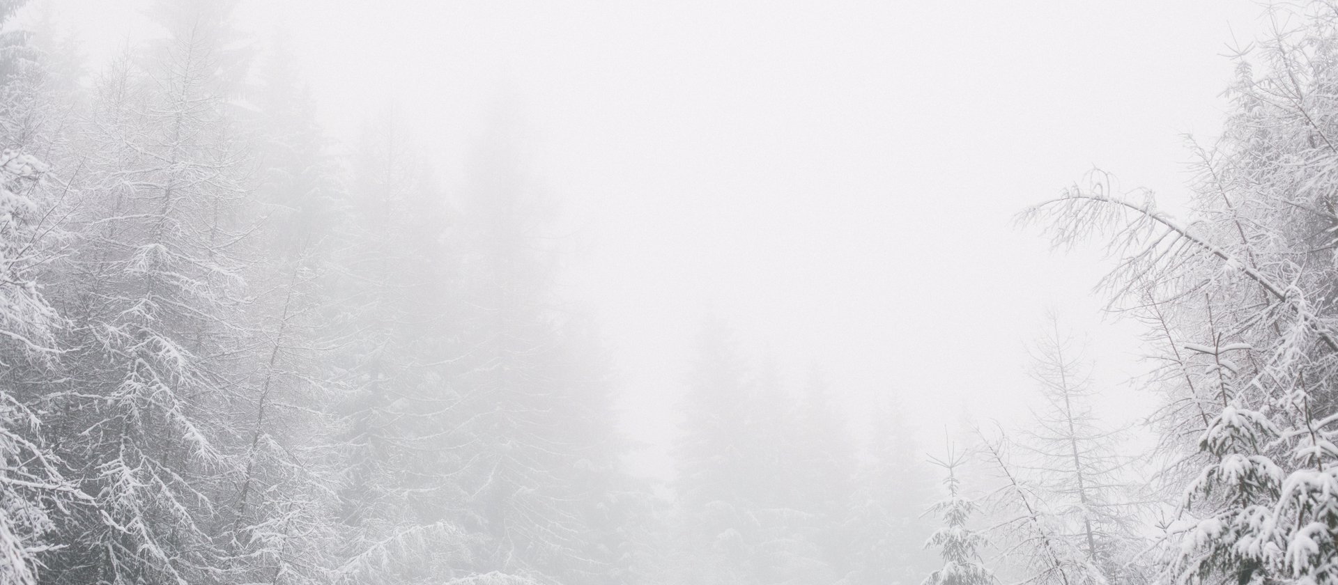 meteo neve w