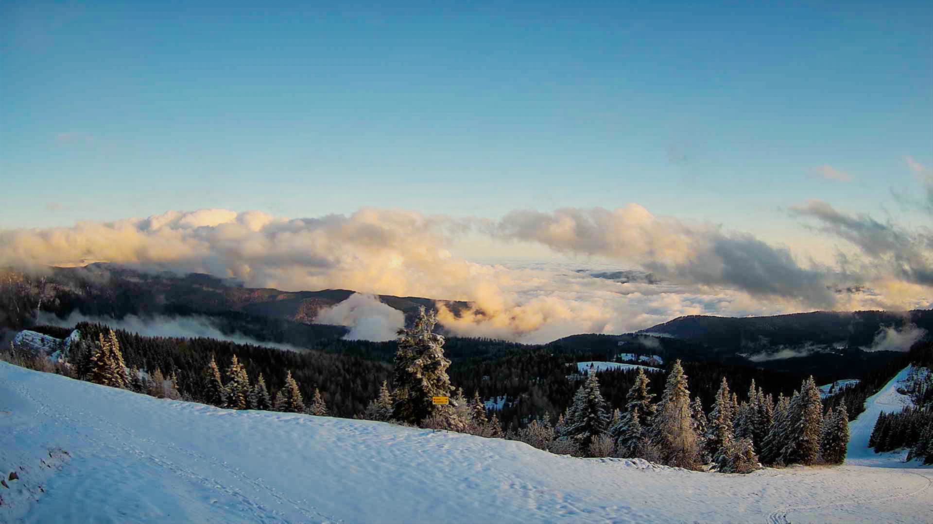 viewverena panorama w