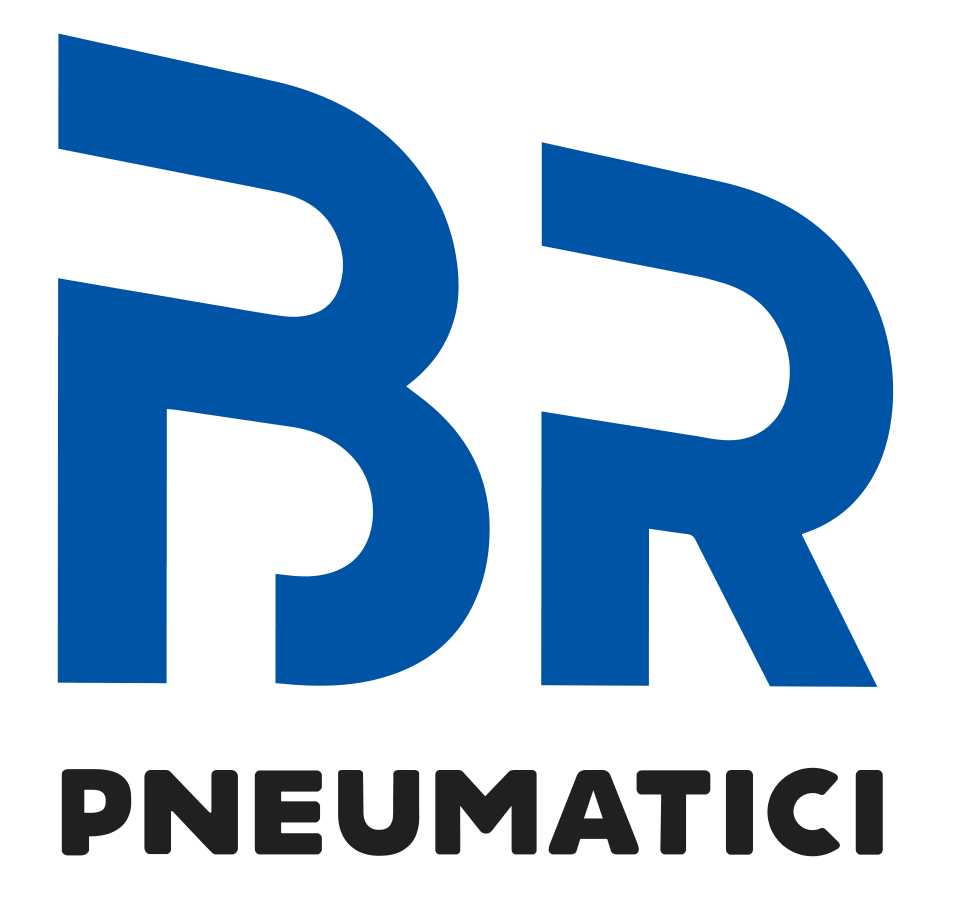 logo br w